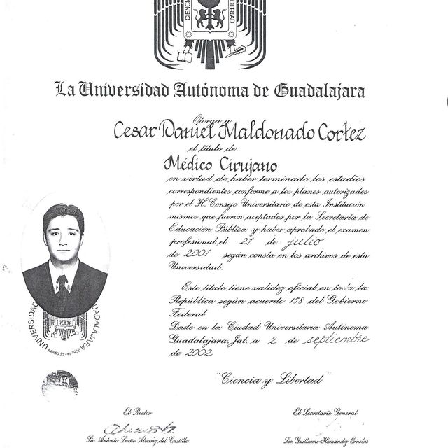 Ampliar imagen: certificate 3