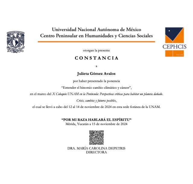 Ampliar imagen: certificate 2