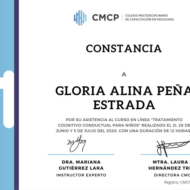 Ampliar imagen: certificate 29