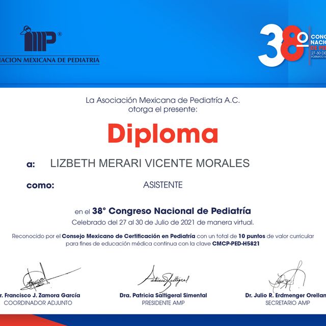 Ampliar imagen: certificate 3