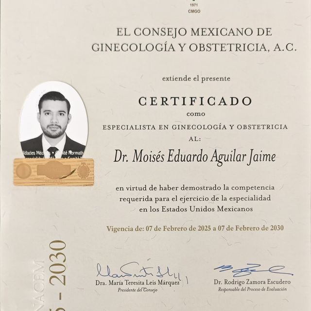 Ampliar imagen: certificate 3