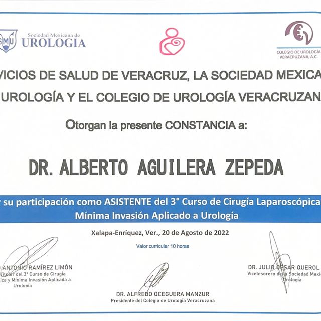 Ampliar imagen: certificate 2