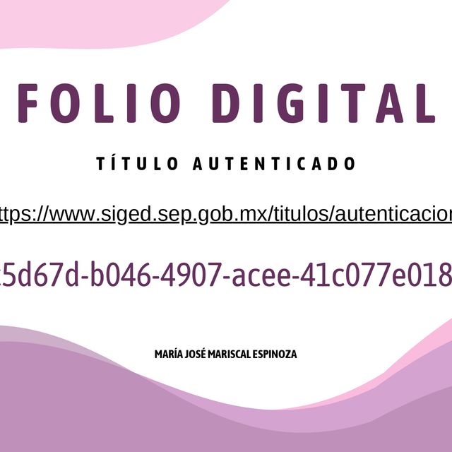 Ampliar imagen: certificate 2