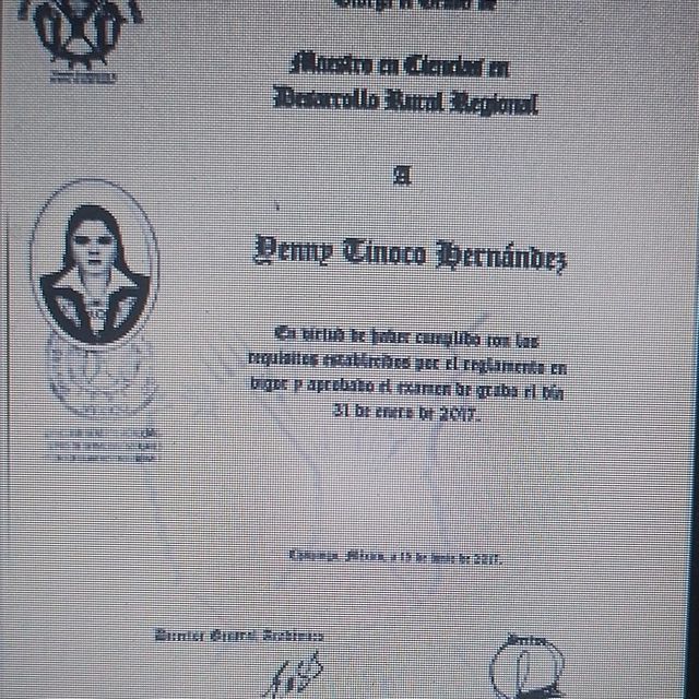 Ampliar imagen: certificate 9