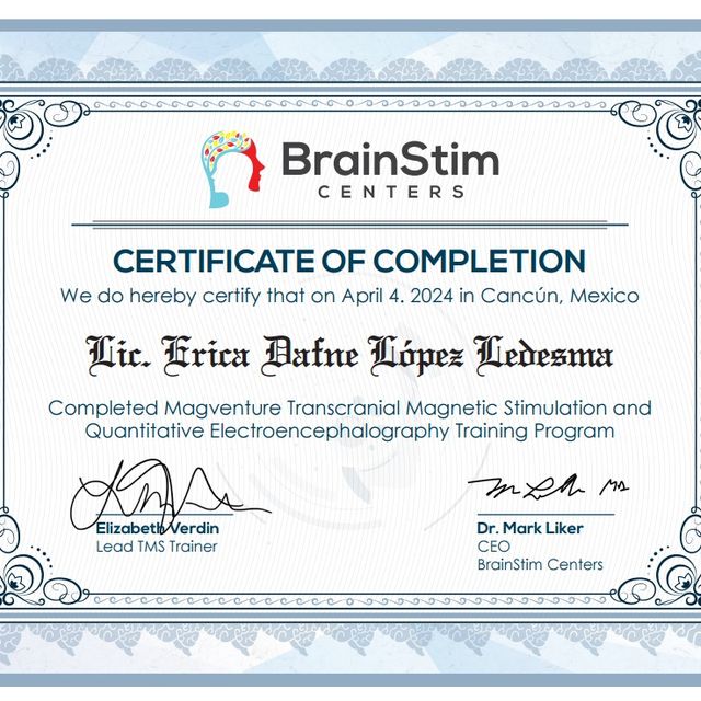 Ampliar imagen: certificate 7