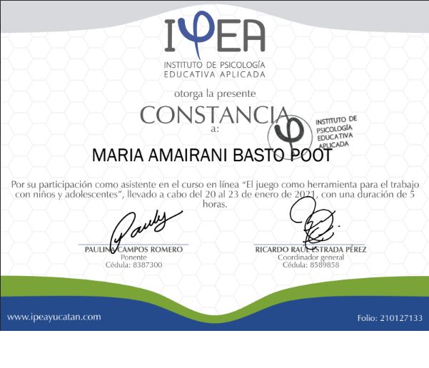 Ampliar imagen: certificate 11