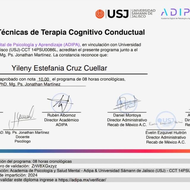 Ampliar imagen: certificate 3