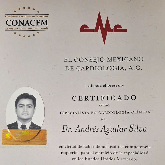 Ampliar imagen: certificate 2