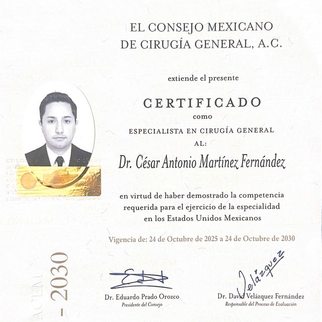 Ampliar imagen: certificate 1