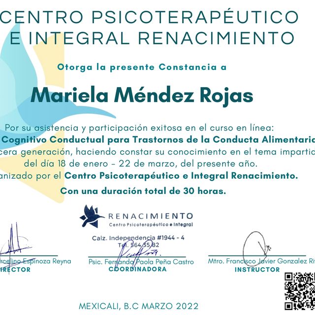 Ampliar imagen: certificate 5
