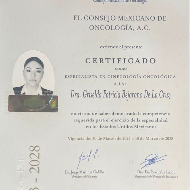Ampliar imagen: certificate 3