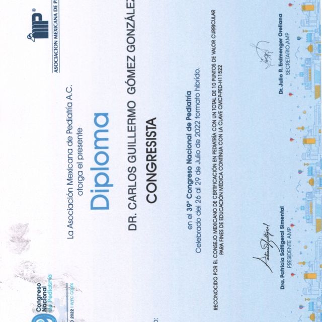 Ampliar imagen: certificate 25