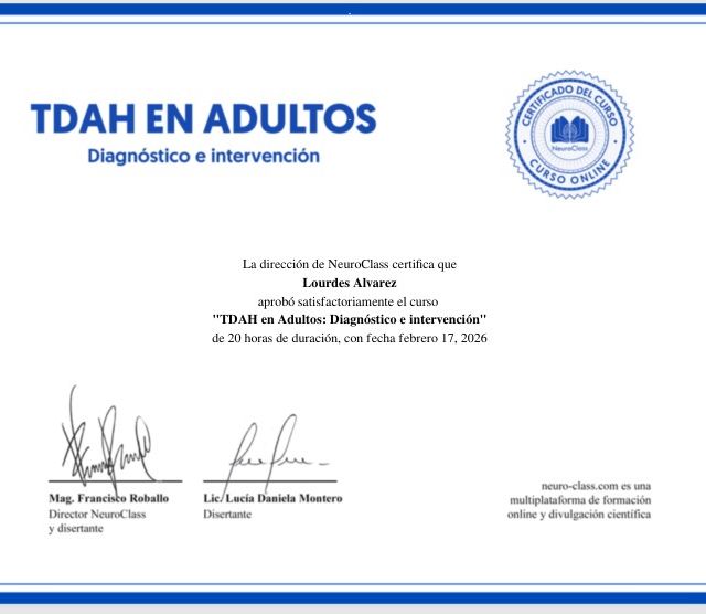 Ampliar imagen: certificate 4