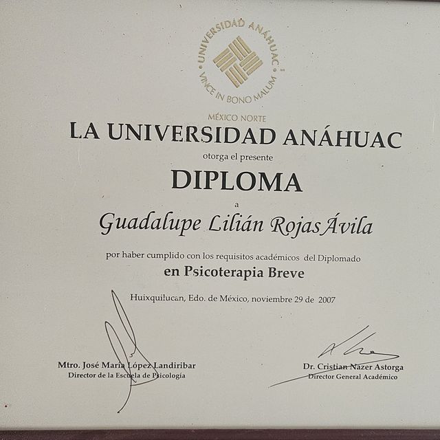 Ampliar imagen: certificate 1