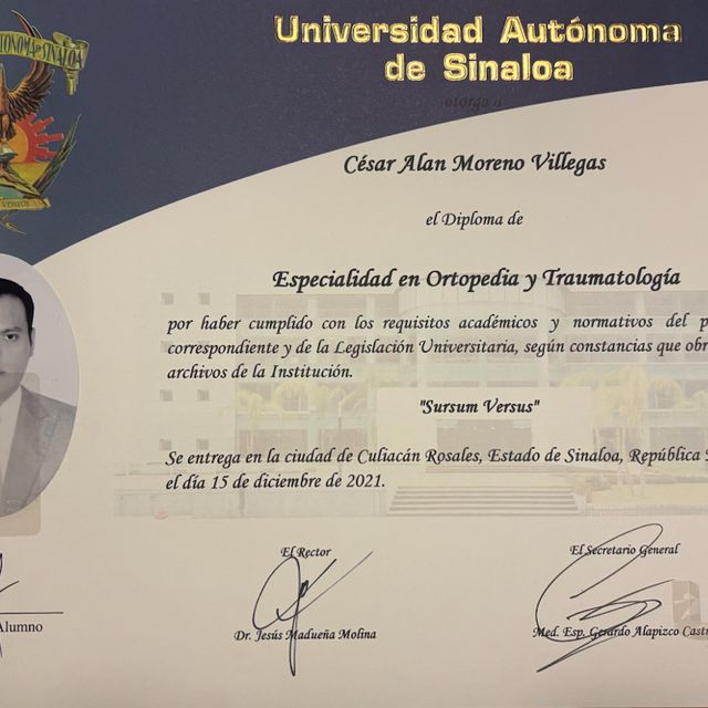 Ampliar imagen: certificate 7