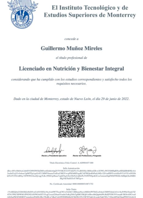 Ampliar imagen: certificate 1