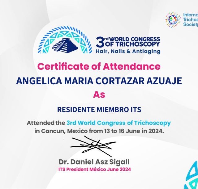 Ampliar imagen: certificate 5