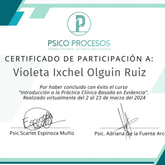 Ampliar imagen: certificate 5