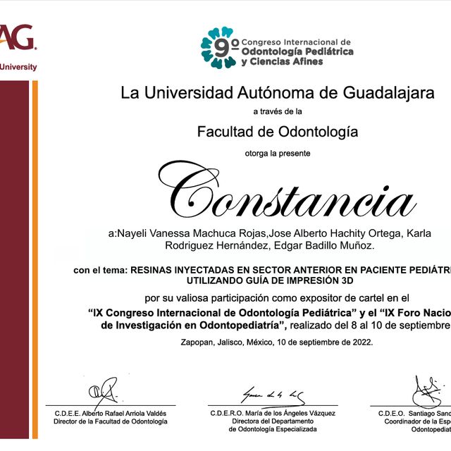 Ampliar imagen: certificate 14