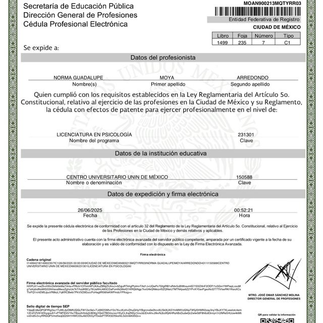 Ampliar imagen: certificate 2
