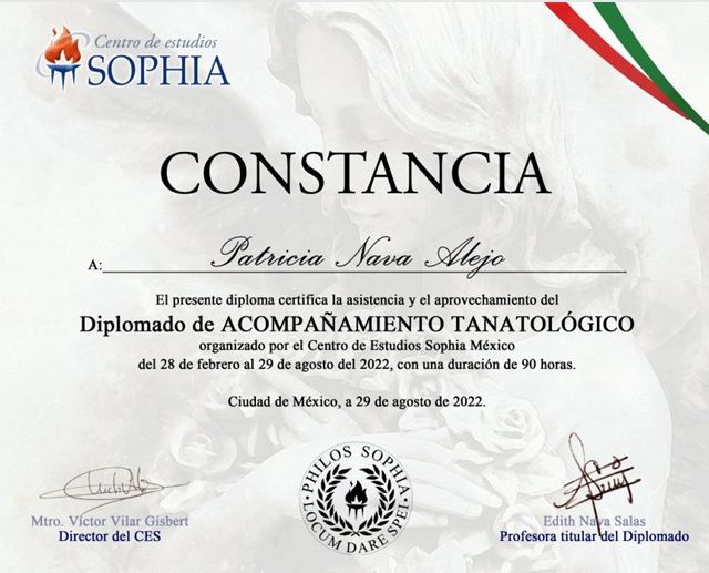 Ampliar imagen: certificate 5