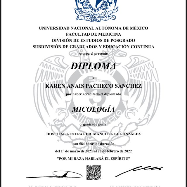 Ampliar imagen: certificate 4