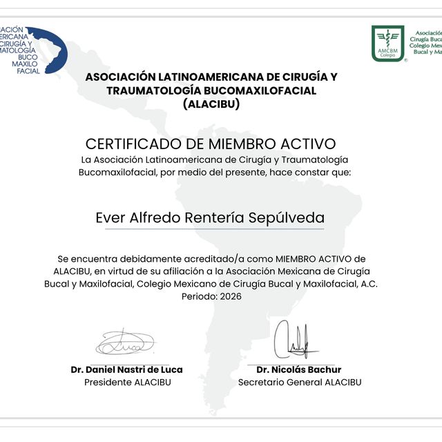 Ampliar imagen: certificate 2