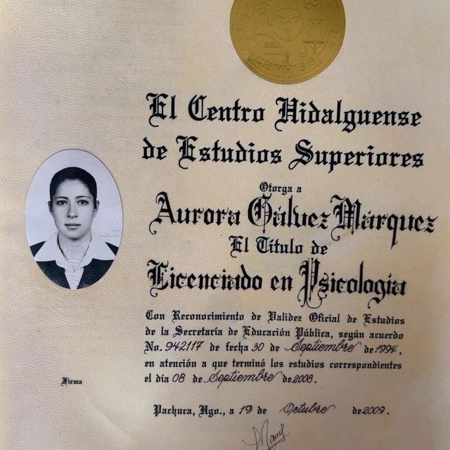 Ampliar imagen: certificate 2