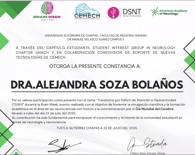 Ampliar imagen: certificate 11