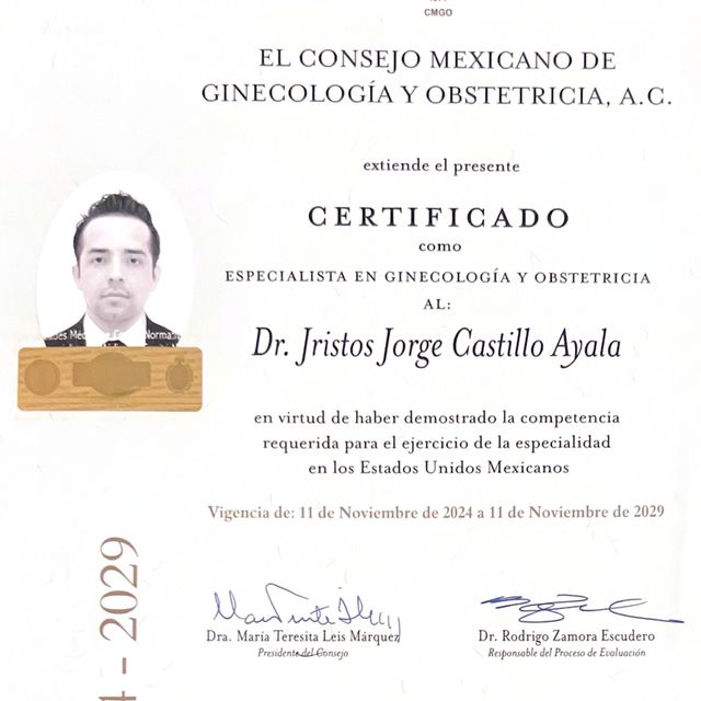 Ampliar imagen: certificate 3