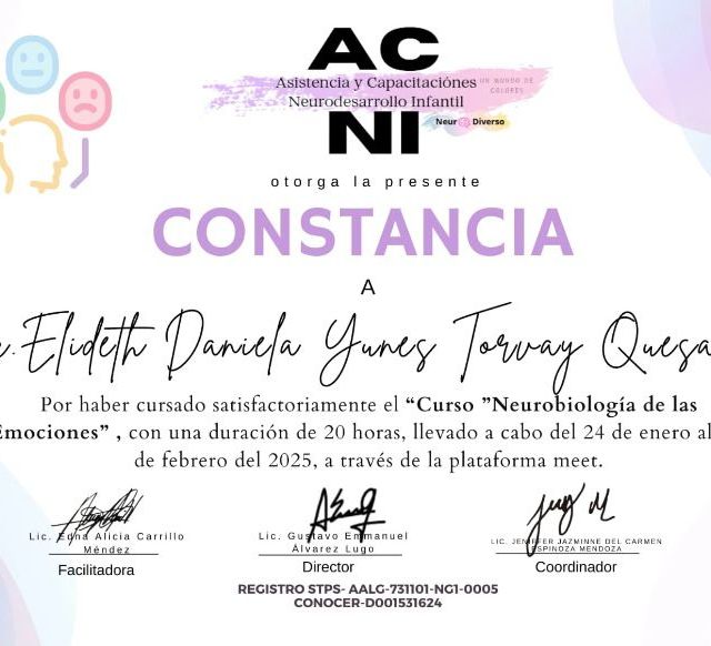 Ampliar imagen: certificate 4