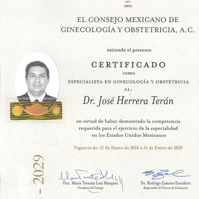 Ampliar imagen: certificate 4