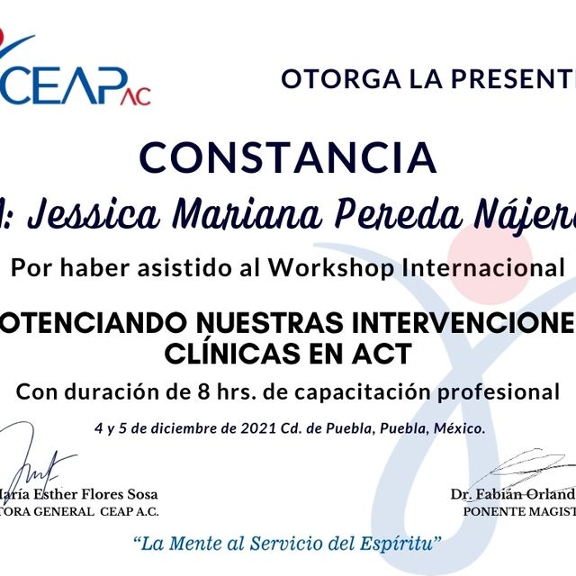 Ampliar imagen: certificate 5