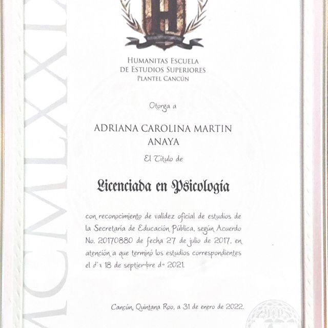 Ampliar imagen: certificate 4