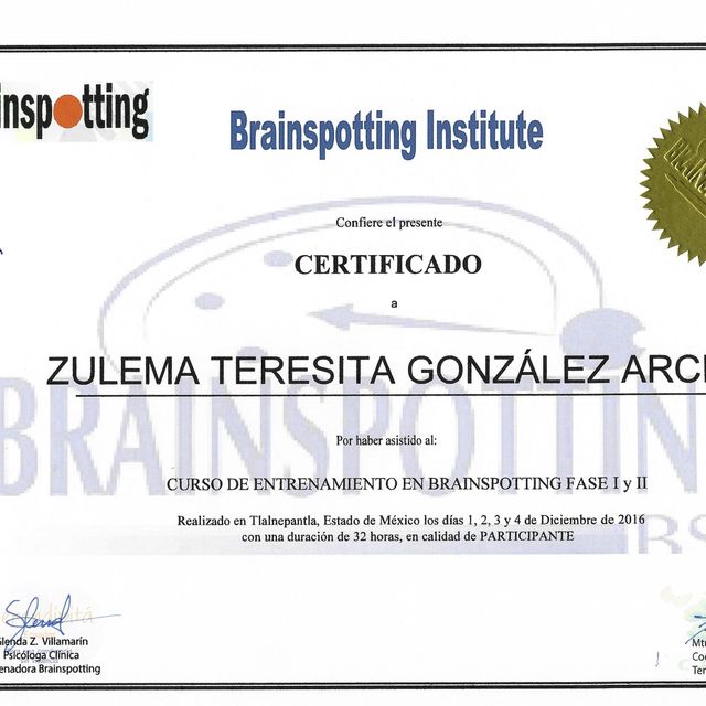 Ampliar imagen: certificate 31