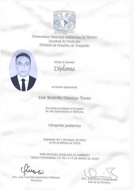 Ampliar imagen: certificate 3