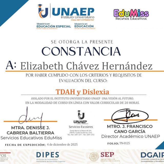 Ampliar imagen: certificate 28