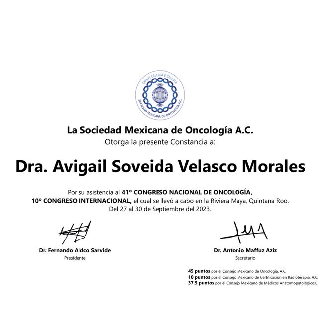 Ampliar imagen: certificate 5
