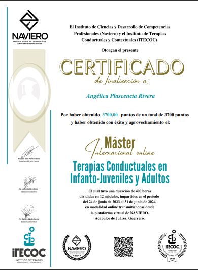 Ampliar imagen: certificate 3