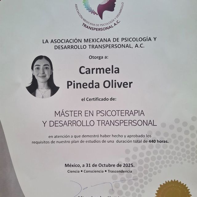 Ampliar imagen: certificate 2