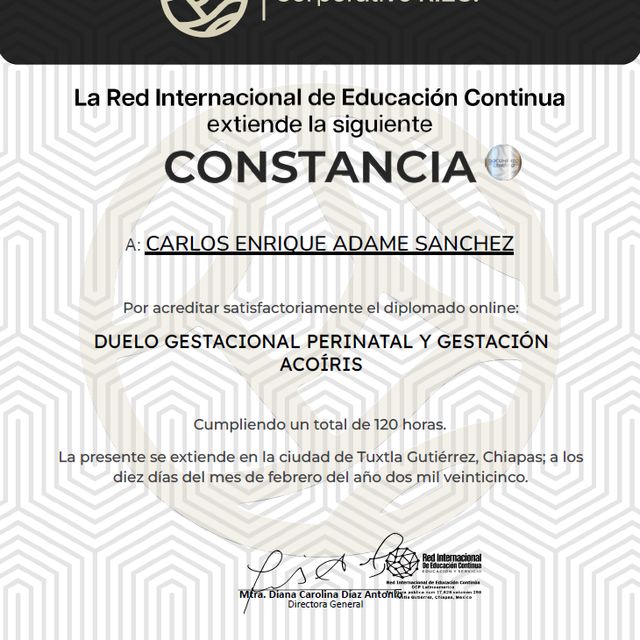Ampliar imagen: certificate 2