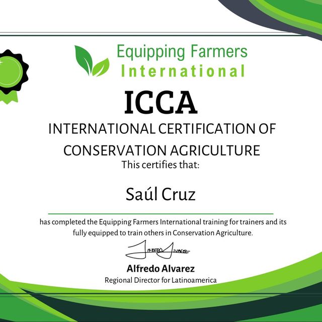Ampliar imagen: certificate 12