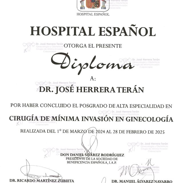 Ampliar imagen: certificate 1