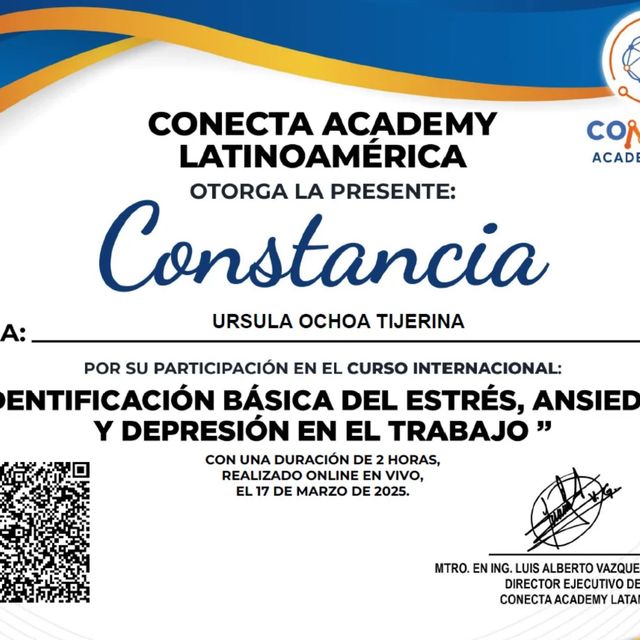 Ampliar imagen: certificate 8