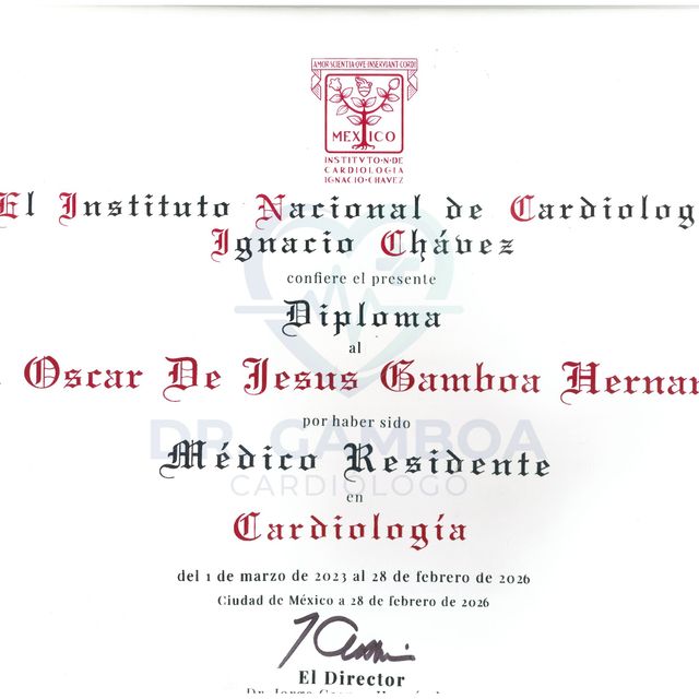 Ampliar imagen: certificate 1