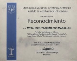 Ampliar imagen: certificate 6