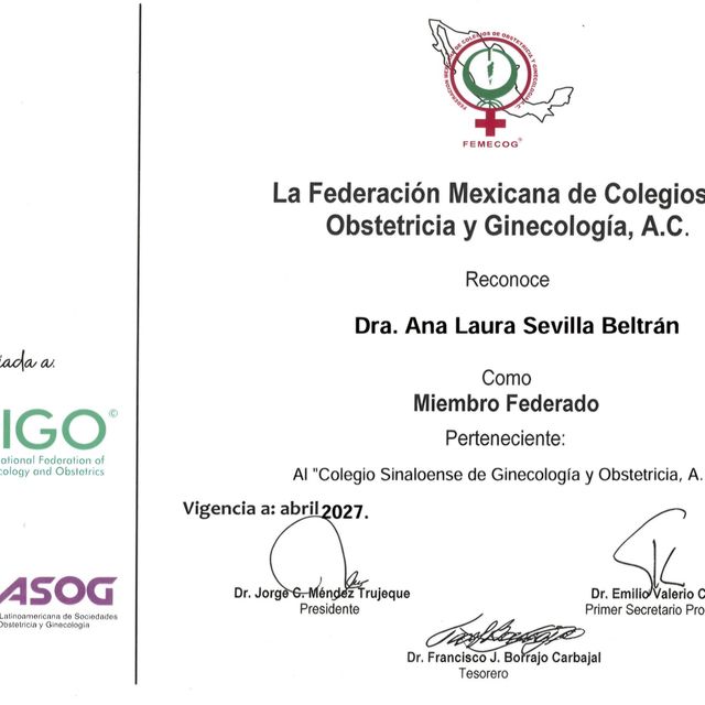 Ampliar imagen: certificate 5
