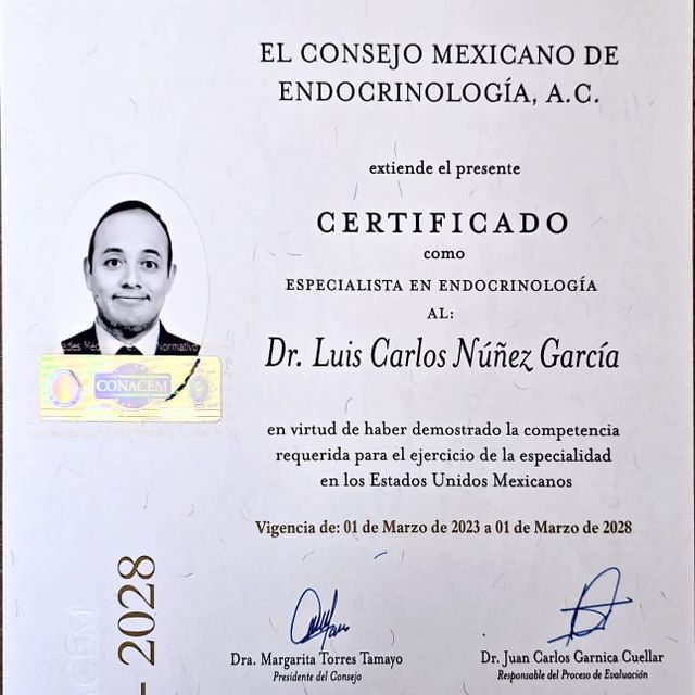 Ampliar imagen: certificate 1