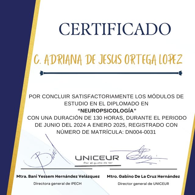Ampliar imagen: certificate 1