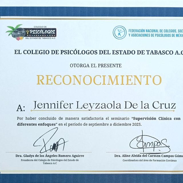 Ampliar imagen: certificate 5